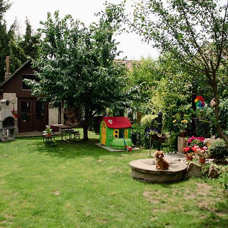Podkrovni Apartman S Vyhledem Na Namesti Lomnice nad Lužnicí 外观 照片